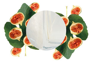 Набор аромата для дома с марсельским мылом FIG Carabaline 250 мл цена и информация | Домашние ароматы с палочками | kaup24.ee