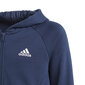 Adidas Spordikostüüm G Hooded Co Ts Blue GM8930/164 hind ja info | Komplektid tüdrukutele | kaup24.ee