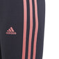 Adidas Lühikesed Püksid G 3S Bk Short Blue GN4092/140 hind ja info | Tüdrukute lühikesed püksid | kaup24.ee