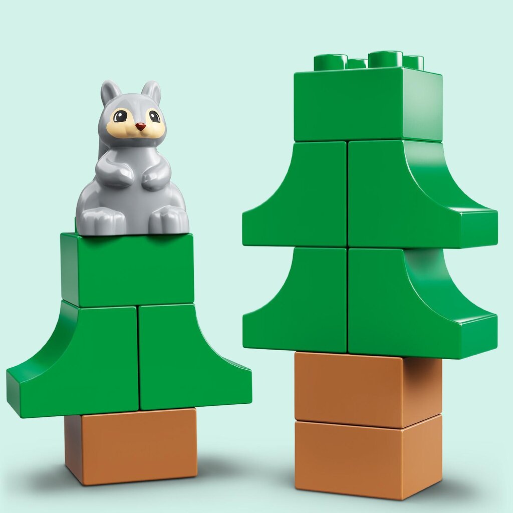 10946 LEGO® DUPLO Seiklused pere matkaautoga hind ja info | Klotsid ja konstruktorid | kaup24.ee
