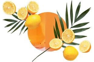 Набор аромата для дома и с марсельским мылом Mediteranean Citrus Carbaline 100 мл цена и информация | Домашние ароматы с палочками | kaup24.ee
