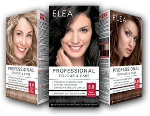 Стойкая крем-краска для волос Elea Professional Colour&Care 9.1 Very light ash blond, 123 мл цена и информация | Краска для волос | kaup24.ee