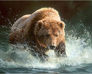 Картина стразами в технике алмазной вышивки "Медведь на рыбалке" Collection D'Art 48x38cm цена и информация | Алмазная мозаика | kaup24.ee