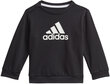 Adidas Spordikostüümid I Bos Jog Ft Black GM8977/98 цена и информация | Komplektid poistele | kaup24.ee