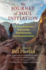 The Journey of Soul Initiation : A Field Guide for Visionaries, Revolutionaries, and Evolutionaries цена и информация | Самоучители | kaup24.ee