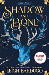 Shadow and Bone: Shadow and Bone: Book 1 цена и информация | Романы | kaup24.ee