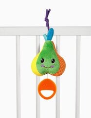 Музыкальная груша «Chicco Baby Senses» цена и информация | Развивающие игрушки и игры | kaup24.ee