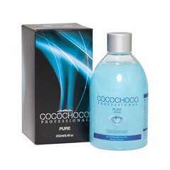 Keratiin juustele Cocochoco Pure, 250 ml цена и информация | Маски, масла, сыворотки | kaup24.ee