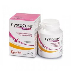 Vahekaart CystoCure FORTE 30. hind ja info | Toidulisandid ja parasiitide vastased tooted | kaup24.ee