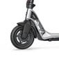 Elektritõukeratas Beaster Scooter BS09, 250 W, 36 V, 10 Ah, 25 km / h цена и информация | Elektritõukerattad | kaup24.ee