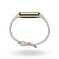 Fitbit Luxe, Soft Gold/Porcelain White hind ja info | Nutivõrud (fitness tracker) | kaup24.ee