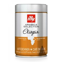 Kohvioad Monoarabica Ethiopia, illy, 250 g цена и информация | Кофе, какао | kaup24.ee