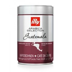 Кофе в зернах illy Arabica Selection Guatemala, 250 г цена и информация | Кофе, какао | kaup24.ee