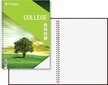 College A4, 60 lehte, 5x5 ruut – roheline hind ja info | Vihikud, märkmikud ja paberikaubad | kaup24.ee