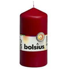 Bolsius sammasküünlad 10 tk 120 x 58 mm veinipunane цена и информация | Подсвечники, свечи | kaup24.ee