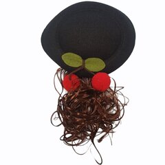Ретро шляпка цена и информация | Карнавальные костюмы | kaup24.ee