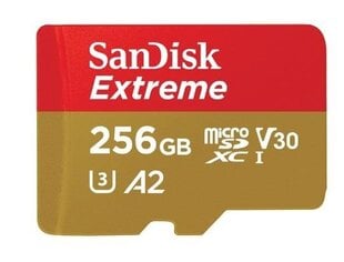 SanDisk Extreme 256GB Memory Card цена и информация | Карты памяти | kaup24.ee