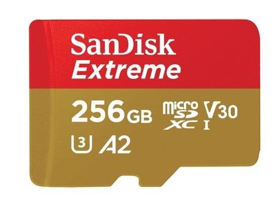 SanDisk SDSQXA1-GN6MA 256 GB цена и информация | Mälupulgad | kaup24.ee