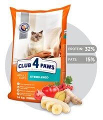 CLUB 4 PAWS Premium täisväärtuslik kuivtoit täiskasvanud kassidele Sterilized, 14kg цена и информация | Сухой корм для кошек | kaup24.ee