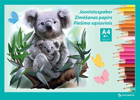Joonistusplokk A4 120 g, 40 lehte – Koala hind ja info | Vihikud, märkmikud ja paberikaubad | kaup24.ee