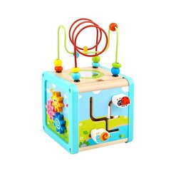 Деревянный куб с лабиринтом 18 мес. + Tooky Toy цена и информация | Игрушки для малышей | kaup24.ee