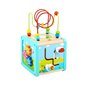 Puidust kuubik labürindiga 18 kuud+ Tooky Toy hind ja info | Imikute mänguasjad | kaup24.ee