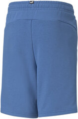 Puma Lühikesed Püksid Ess + 2 Col Shorts Blue 586989 13/176 hind ja info | Poiste lühikesed püksid | kaup24.ee