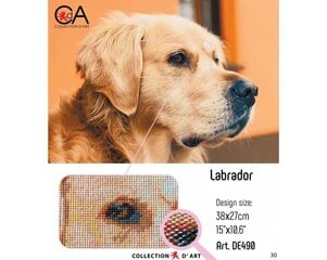 Pildid straazidega teemantmosaiiktehnikas "Labrador" Collection D'Art 38x27cm hind ja info | Teemantmaalid, teemanttikandid | kaup24.ee