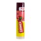 Carmex stick POMEGRANATE - huulepalsam цена и информация | Huulepulgad, -läiked, -palsamid, vaseliin | kaup24.ee