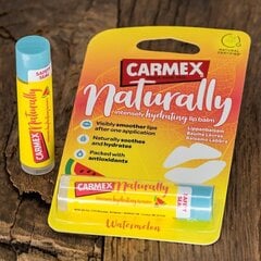 Бальзам для губ Carmex Naturally Watermelon, 4,25 г цена и информация | Помады, бальзамы, блеск для губ | kaup24.ee