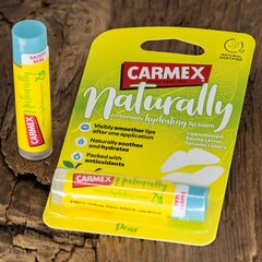 Carmex Naturally Pear Stick - huulepalsam цена и информация | Помады, бальзамы, блеск для губ | kaup24.ee