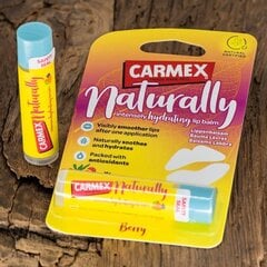 Carmex Naturally Berry Stick - huulepalsam цена и информация | Помады, бальзамы, блеск для губ | kaup24.ee