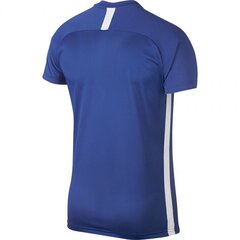 Nike мужские футболки M Dry Academy SS M AJ9996 480, синяя цена и информация | Мужская спортивная одежда | kaup24.ee