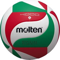 Волейбольный мяч MOLTEN V4M4000, размер 4 цена и информация | Molten Сетевой | kaup24.ee