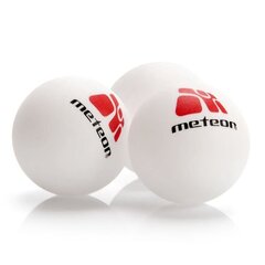 Lauatennise komplekt Meteor 15029 hind ja info | Meteor Lauatennis | kaup24.ee