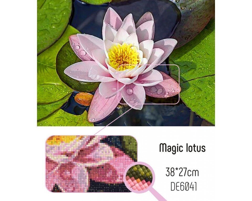 Pildid straazidega teemantmosaiiktehnikas "Maagiline lootos" Collection D'Art 27x38cm цена и информация | Teemantmaalid, teemanttikandid | kaup24.ee