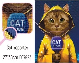 Pildid straazidega teemantmosaiiktehnikas "Kass-reporter" Collection D'Art 38x27cm цена и информация | Алмазная мозаика | kaup24.ee