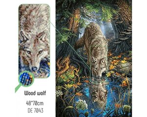 Картина стразами в технике алмазной вышивки "Лесной волк" Collection D'Art 48x70cm цена и информация | Алмазная мозаика | kaup24.ee
