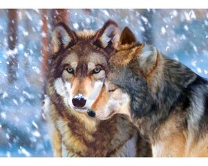 Картина стразами в технике алмазной вышивки "Волк и волчица" Collection D'Art 48x38cm цена и информация | Алмазная мозаика | kaup24.ee