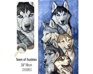 Pildid straazidega teemantmosaiiktehnikas "Huskide rakend" Collection D'Art 38x70cm hind ja info | Teemantmaalid, teemanttikandid | kaup24.ee