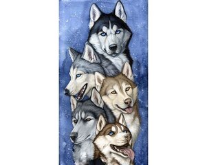 Pildid straazidega teemantmosaiiktehnikas "Huskide rakend" Collection D'Art 38x70cm цена и информация | Алмазная мозаика | kaup24.ee