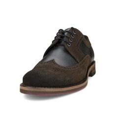 Туфли мужские Nicolo Ferretti 70301247, коричневые цена и информация | Мужские ботинки | kaup24.ee