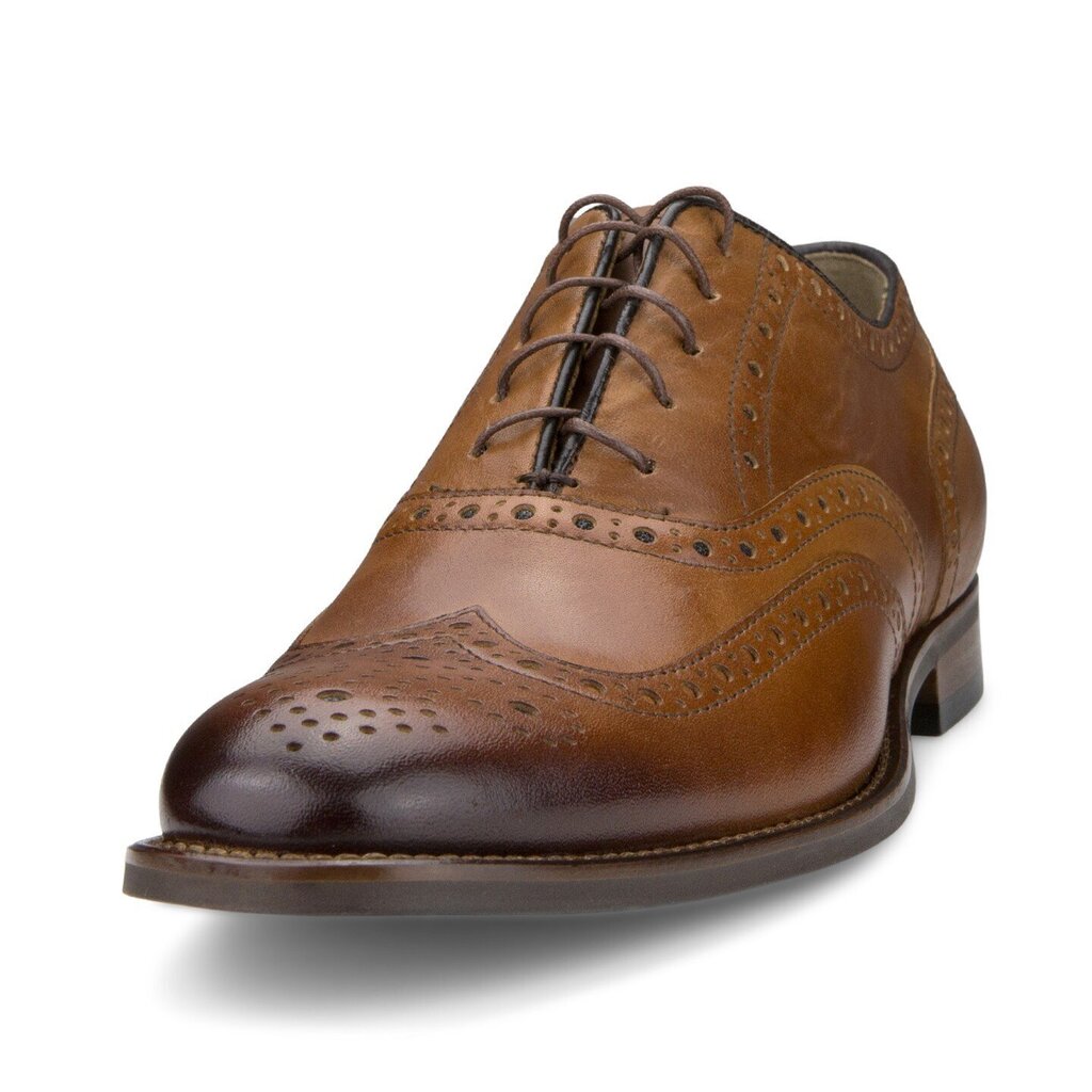 Meeste jalatsid Nicolo Ferretti 3419169, pruun hind ja info | Meeste kingad, saapad | kaup24.ee
