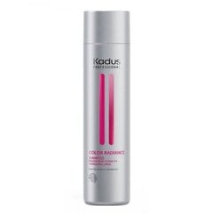 Шампунь для окрашенных волос Kadus Color Radiance Shampoo, 250 мл цена и информация | Шампуни | kaup24.ee