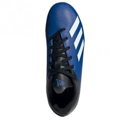 Jalgpalli puutsad Adidas X 19.4 FxG JR EF1615, sinine цена и информация | Футбольные бутсы | kaup24.ee