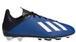 Jalgpalli puutsad Adidas X 19.4 FxG JR EF1615, sinine цена и информация | Jalgpallijalatsid | kaup24.ee