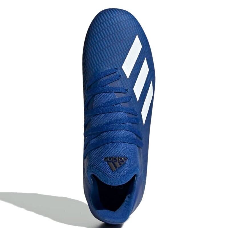 Jalgpallijalatsid Adidas X 19.3 FG J EG7152, sinine цена и информация | Jalgpallijalatsid | kaup24.ee