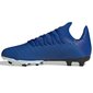 Jalgpallijalatsid Adidas X 19.3 FG J EG7152, sinine цена и информация | Jalgpallijalatsid | kaup24.ee