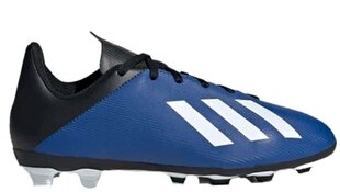 Jalgpallijalatsid Adidas X 19.3 FG J EG7152, sinine цена и информация | Футбольные бутсы | kaup24.ee