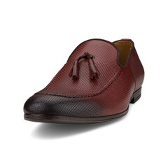 Meeste mokassiinid Nicolo Ferretti 4553834, pruun hind ja info | Meeste kingad, saapad | kaup24.ee